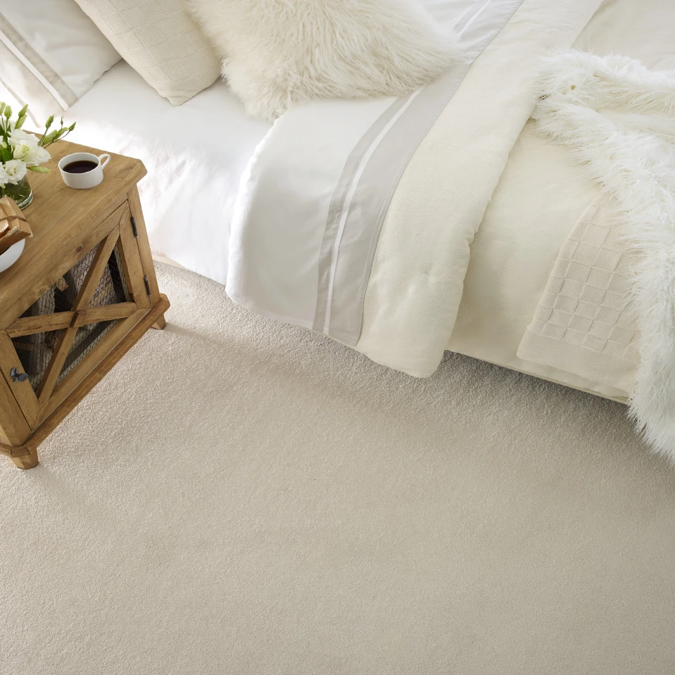 Soft textured carpet with modern 2026 styling for durable carpet flooring installation.